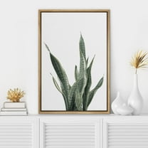 IDEA4WALL Framed Canvas Wall Art Green Snake Plant on White Background Floral Plants Photography Print Modern Art Rustic Relax/Calm Cool for Living Room, Bedroom, Office - 24"x36" Natural