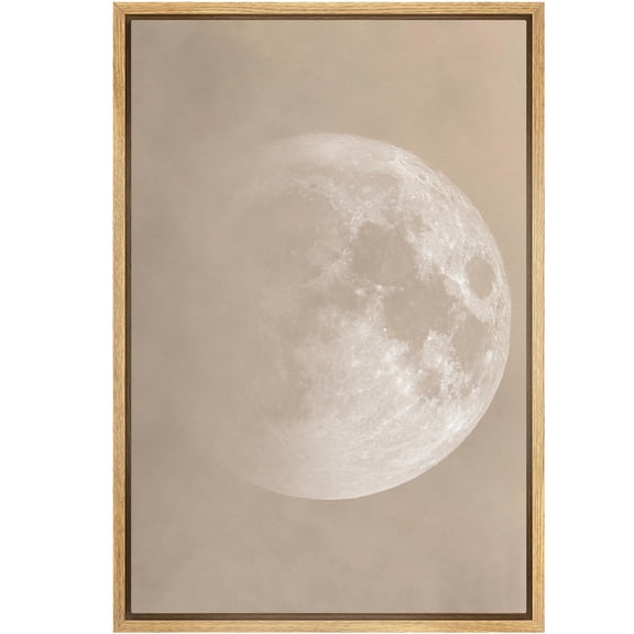 IDEA4WALL Framed Canvas Wall Art Lunar Moon Minimalist Photography Print White & Brown Lunar Surface Pastel Modern Art Rustic Minimal Relax/Calm for Living Room, Bedroom, Office - 16"x24" Natural