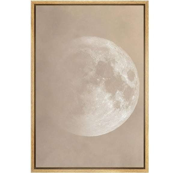 IDEA4WALL Framed Canvas Wall Art Lunar Moon Minimalist Photography Print White & Brown Lunar Surface Pastel Modern Art Rustic Minimal Relax/Calm for Living Room, Bedroom, Office - 24"x36" Natural