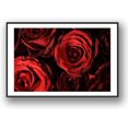 thumbnail image 1 of IDEA4WALL Framed Canvas Wall Art Rose Flowers Floral Picture Prints for Modern Home Decoration, 1 of 4