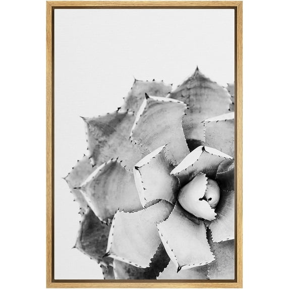 IDEA4WALL Framed Canvas Wall Art Rose Succulent Botanical Art Black And White Desert Plants Floral Photography Print Rustic Minimal for Living Room, Bedroom, Office - 24"x36" Natural