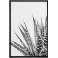 thumbnail image 1 of IDEA4WALL Framed Canvas Wall Art Zebra Succulent Botanical Art Black And White Desert Plants Floral Photography Print Rustic Minimal for Living Room, Bedroom, Office - 24"x36" Black, 1 of 5