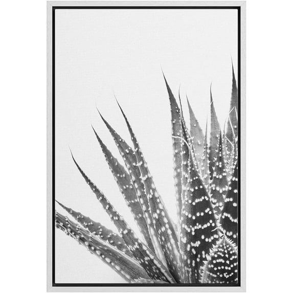 IDEA4WALL Framed Canvas Wall Art Zebra Succulent Botanical Art Black And White Desert Plants Floral Photography Print Rustic Minimal for Living Room, Bedroom, Office - 16"x24" White