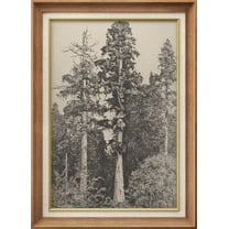 IDEA4WALL Premium Frame Wall Art Elegant Vintage Tree Drawing Print Classic Fine Art Nature Plants Duotone Artwork Traditional Iconic for Living Room, Bedroom, Office - 26"x36" Natural