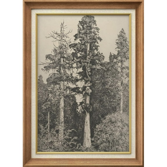 IDEA4WALL Premium Frame Wall Art Elegant Vintage Tree Drawing Print Classic Fine Art Nature Plants Duotone Artwork Traditional Iconic for Living Room, Bedroom, Office - 26"x36" Natural