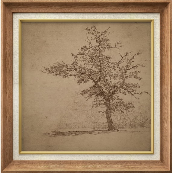 IDEA4WALL Premium Frame Wall Art Forest Tree Field Illustration Mid-Century Antique Nature Wilderness Illustrations Fine Art Retro Historic Wall Decor for Living Room, Office - 26"x26" Natural