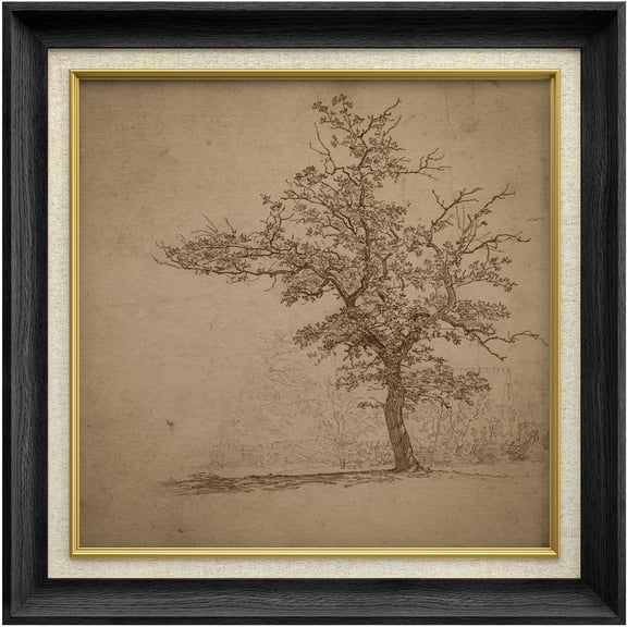 IDEA4WALL Premium Frame Wall Art Forest Tree Field Illustration Mid-Century Antique Nature Wilderness Illustrations Fine Art Retro Historic Wall Decor for Living Room, Office - 26"x26" Black