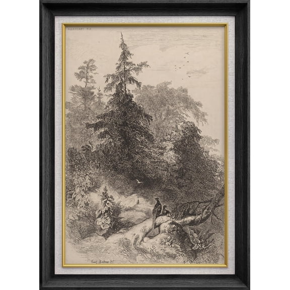 IDEA4WALL Premium Frame Wall Art Historic Tree Landscape Ink Sketch Print Rustic Classic Art Nature Plants Duotone Artwork Traditional Iconic for Living Room, Bedroom, Office - 26"x36" Black