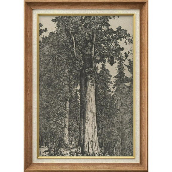 IDEA4WALL Premium Frame Wall Art Majestic Ink Sketch Timeless Botanical Print Rustic Classic Art Nature Plants Duotone Artwork Vintage Wall Decor for Living Room, Office - 26"x36" Natural