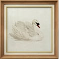 thumbnail image 1 of IDEA4WALL Premium Frame Wall Art White Swan Bird Animal Portrait Classic Print Nature Wilderness Illustrations Fine Art Retro Historic Zen Wall Decor for Living Room, Office - 26"x26" Natural, 1 of 5