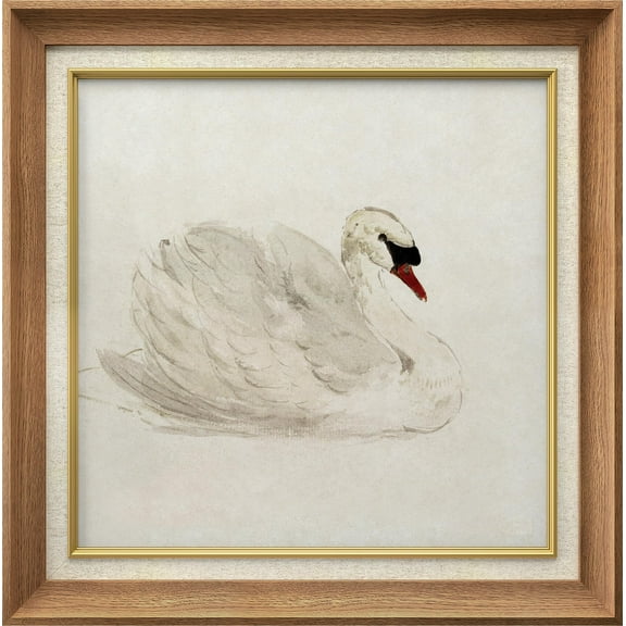 IDEA4WALL Premium Frame Wall Art White Swan Bird Animal Portrait Classic Print Nature Wilderness Illustrations Fine Art Retro Historic Zen Wall Decor for Living Room, Office - 26"x26" Natural