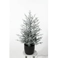 thumbnail image 1 of IDEALHOUSE 3 Ft Holiday Tree - Pre-strung Design | Space-Smart for Apartments & Offices | Realistic Branches | Quick Setup, 1 of 5