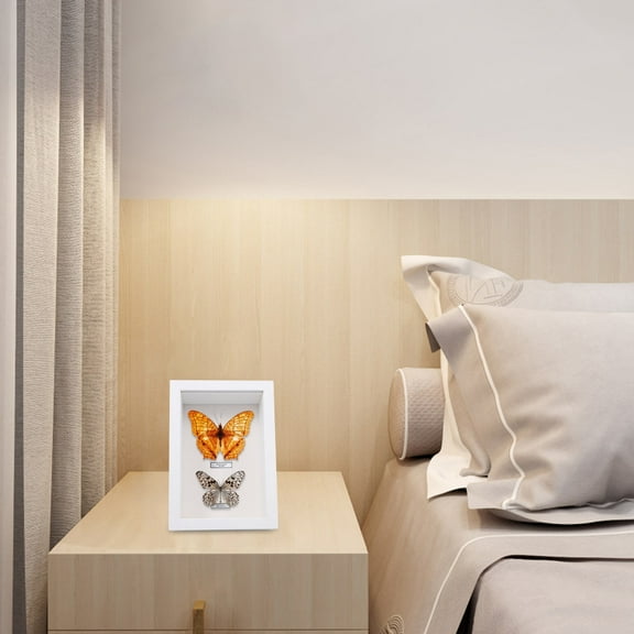 IDEANATEGRATE 1Pack White Wood Shadow Box for Tabletop Display and Specimen Board 16.6X11.6X6.5CM