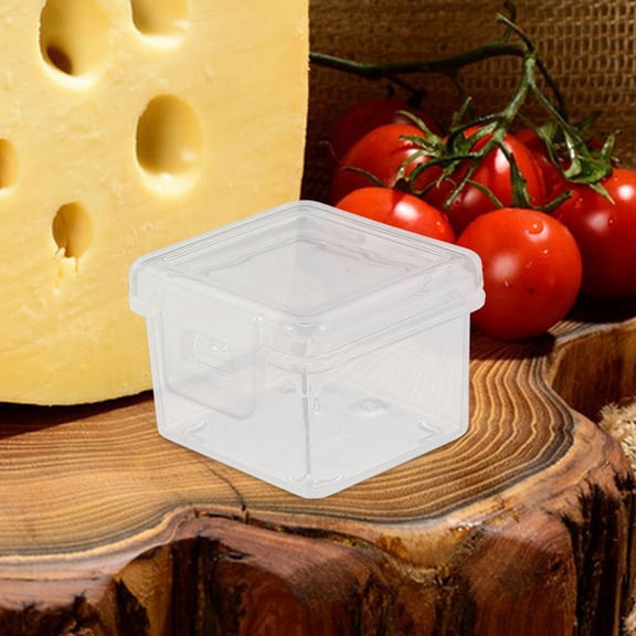 IDEANATEGRATE Cheese Containers Reusable Plastic 4Pcs 1.34X1.30X0.98in
