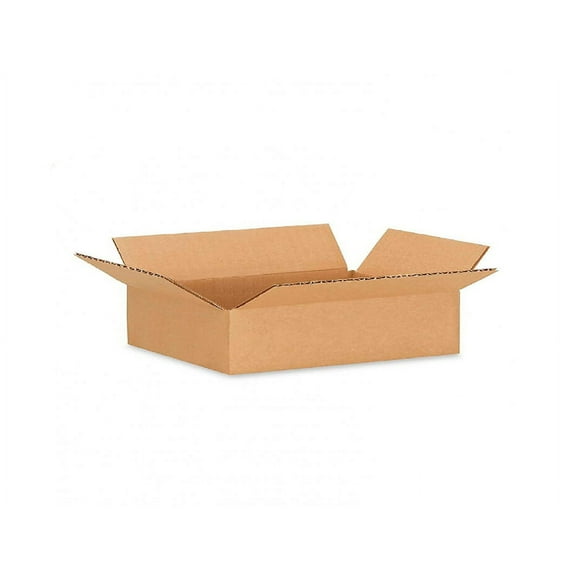 IDL Packaging Small Corrugated Shipping Boxes 14"L x 11W x 3"H (Pack of 25)