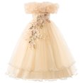 thumbnail image 1 of IDOPIP Flower Girl Dress Birthday Party Princess Dress Tulle Pageant Gown Kids Floral Lace Embroidery Formal Bridesmaid Dress Wedding Prom Communion Dresses 7 Years Champagne, 1 of 8