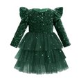 thumbnail image 1 of IDOPIP Toddler Girls Sequins Velvet Tutu Dress Glitter Christmas Tiered Mesh Dress 2-3 Years Green, 1 of 8
