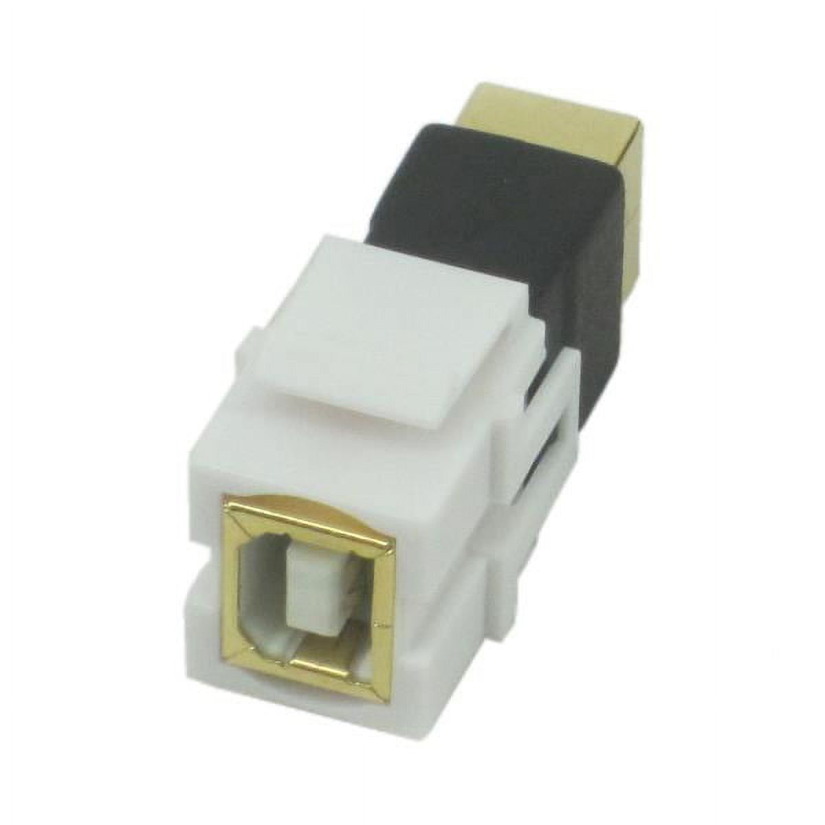 IEC RJUB USB Type B Female to Female Connector on Flush Mount Keystone