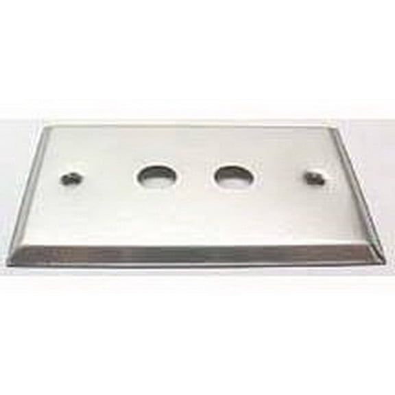 IEC WS10102 Stainless Steel Wall Plate with 2 Cutouts for BNC Connectors