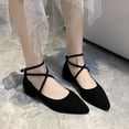 thumbnail image 1 of IEMIEMIEM Women's 2026 Suede Ankle Strap Low Block Heel Pumps Closed Pointed Toe Mary Janes Strappy Wedding Party Office Dress Shoes Black 5.5 Wide, 1 of 8