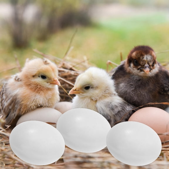 IFANLANDOR 10pcs Plastic Cockatiel Eggs Fake Eggs for Bird Breeders Nesting