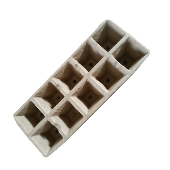 IFANLANDOR 13Pcs Bulb Starter Pots for All Seasons 7.9x3.1in