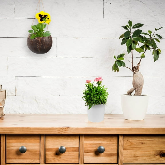 IFANLANDOR 1Pcs Round Coconut Shell Pendant Planter for Homeowners Gardeners Sunlight Resistant 10.2X4.7X3In