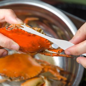 IFANLANDOR 1Set Crab Eating Tool Set Red Handle Crab Forks Pliers and Cutter for Home and Dining Use