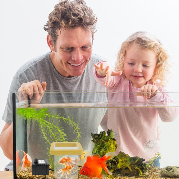IFANLANDOR 3Pcs Fish Hatchery Box for Aquarium with Floating Design and Easy Maintenance Features