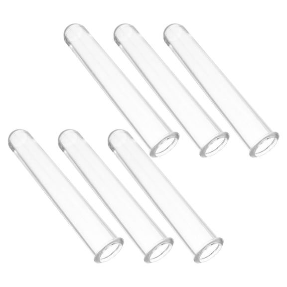 IFANLANDOR 6Pcs Clear Hydroponic Propagation Tubes for Plants Transparent Desktop Flower Vase Set