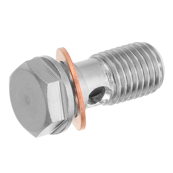 IFANLANDOR Plated Silver Stainless Steel Brake Caliper Bolts for Automotive Use with Hex Socket and Durable Build