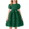 thumbnail image 1 of IFNWSV Girls Dresses Kids Solid Color Round Neck Short Sleeve Dress Mesh Bow Casual and Comfortable Skirt Green 6-7 Years, 1 of 7