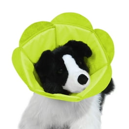 E collar for dogs walmart sale