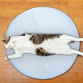 thumbnail image 1 of IGEED Summer Cooling Mat for Pets,Ice Silk Cooling Mat for Cats Dogs,Self Cooling Pad Blanket,Dog Cooling Pad for Indoor & Outdoor,Cooling Blanket for Beds,Sofa,Floors,Car Seats, 1 of 7