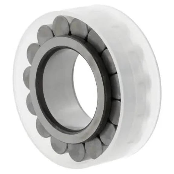 IINA RSL183005 Cylindrical Roller Bearing 25x42.510x16 mm