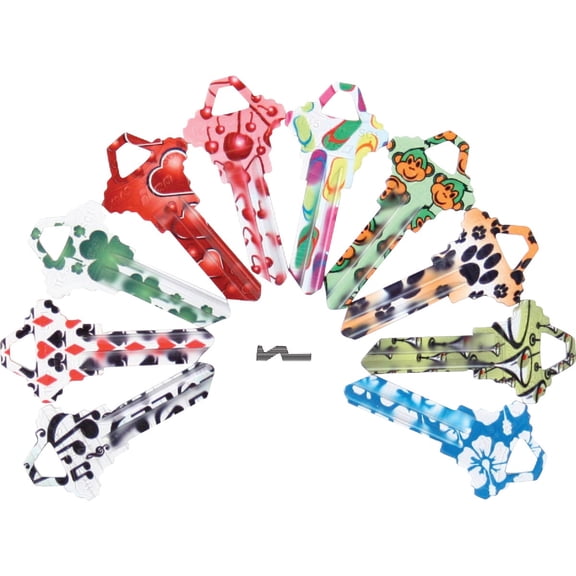 ILCO SCHLAGE Assorted Painted Decorative House Key - Pack of 2