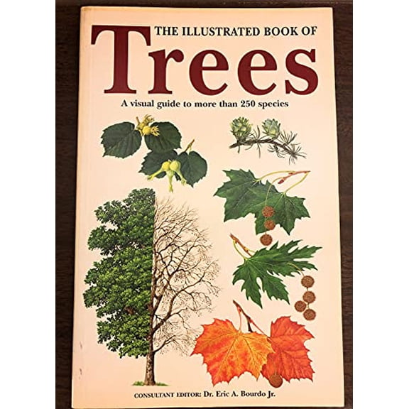 Pre-Owned The Illustrated Book of Trees: A Visual Guide to More Than 250 Species (Paperback) 1840650834 9781840650839