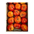 thumbnail image 1 of IMG_7665Pineapple tomatoes - Carmel Valley California Photography Fruit Garden Kitchen Decor Farm Botanical Rustic Unframed Wall Art Print 11 x 14 inches, 1 of 4