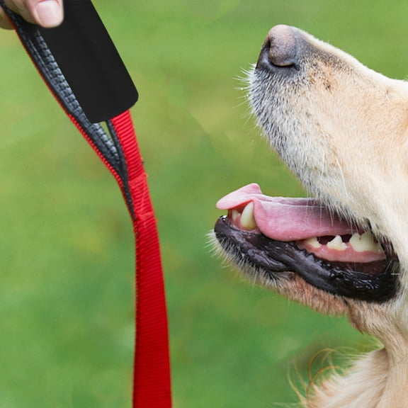 IMIKEYA Pet Leash Handle Wrap Black Sponge Grip for Comfortable Non-Slip Protection 5Pcs