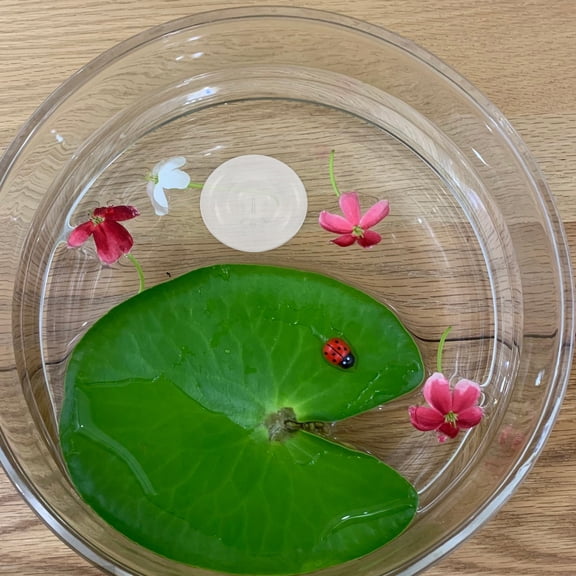 IMIKEYA 6Pcs Plastic Floating Flower Frog Alternative for Home Floral Display and Aquatic Plant Care