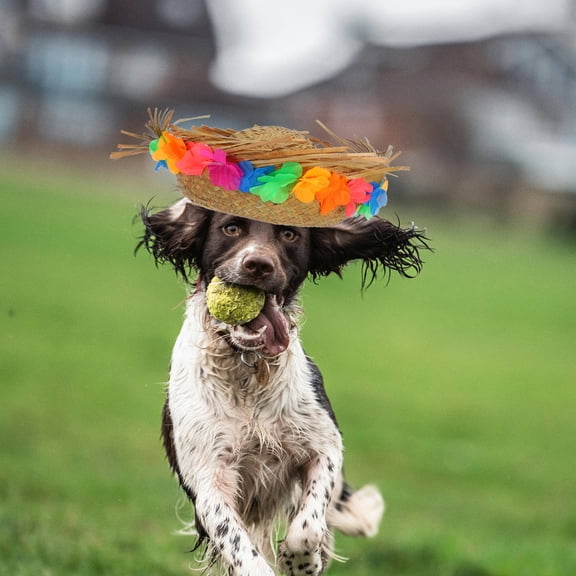 IMIKEYA Party Decoration Dog Hat Woven Straw for Small Animals 1Set