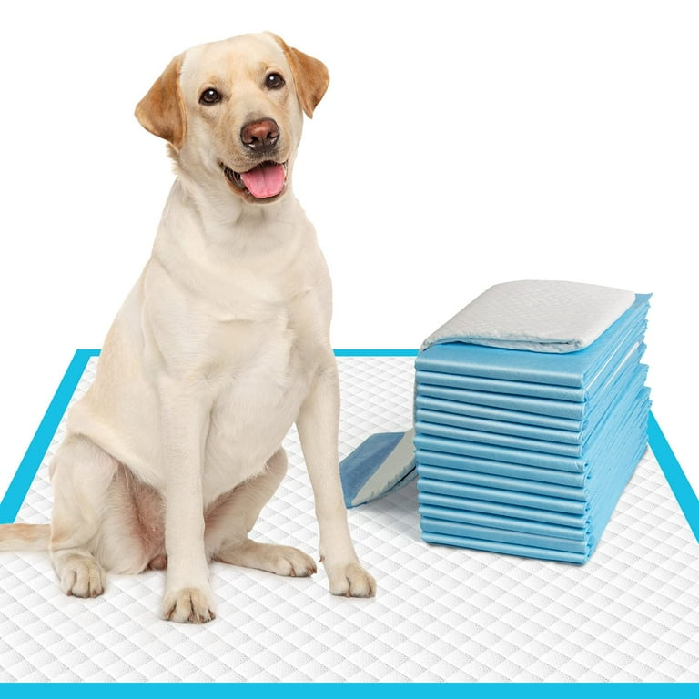 Where to put puppy pee pads sale