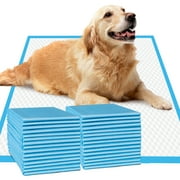 IMMCUTE XL Dog Pee Pads,28’’x34’’,40ct,Extra Large Puppy Training Pads,Super Absorbent & Leak-Proof Disposable Doggy Pads,6 Layers Protection for Doggies