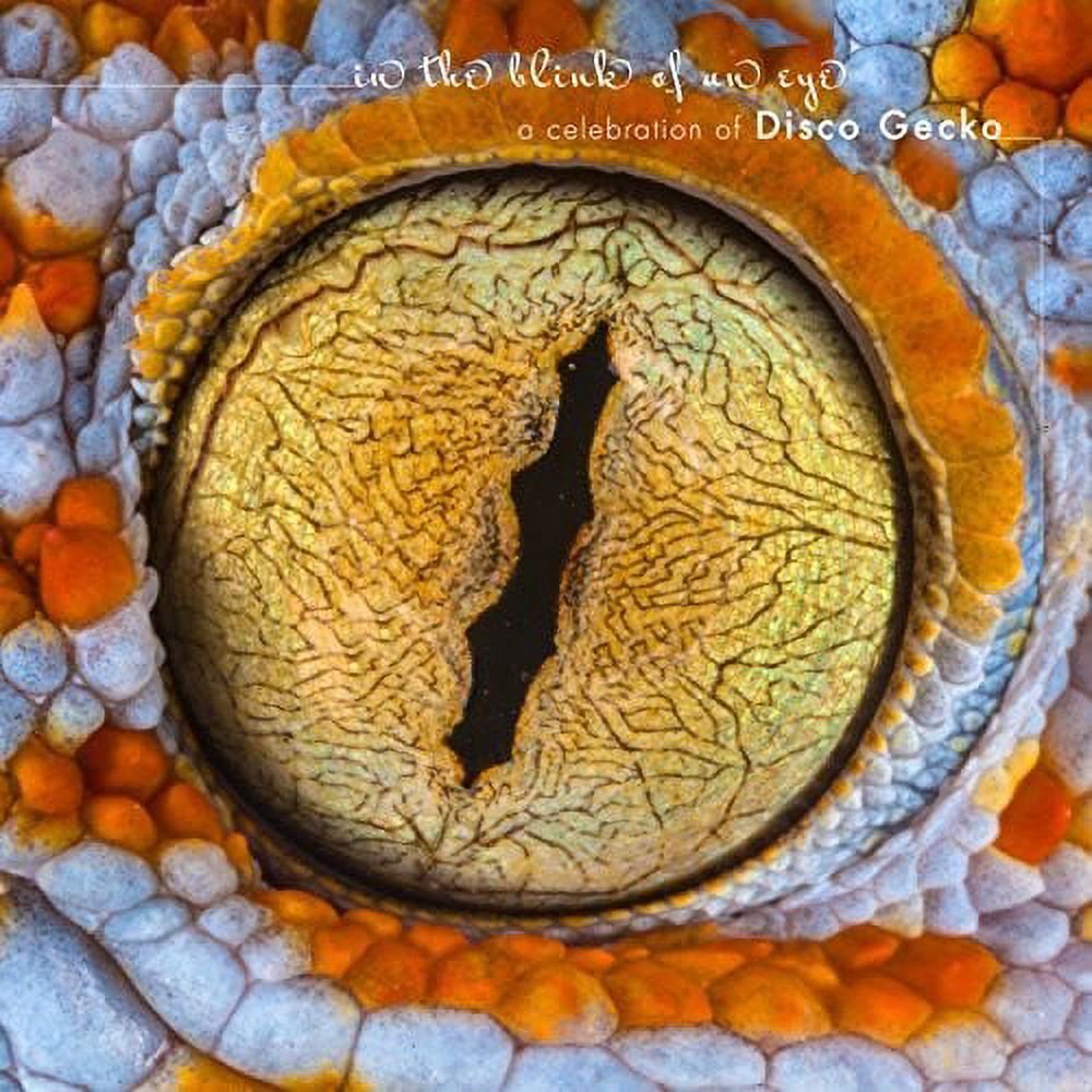 Various Artists - In The Blink Of An Eye - Electronica - CD