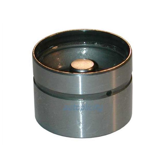 INA 11-32-1-748-884 Hydraulic Valve Lifter