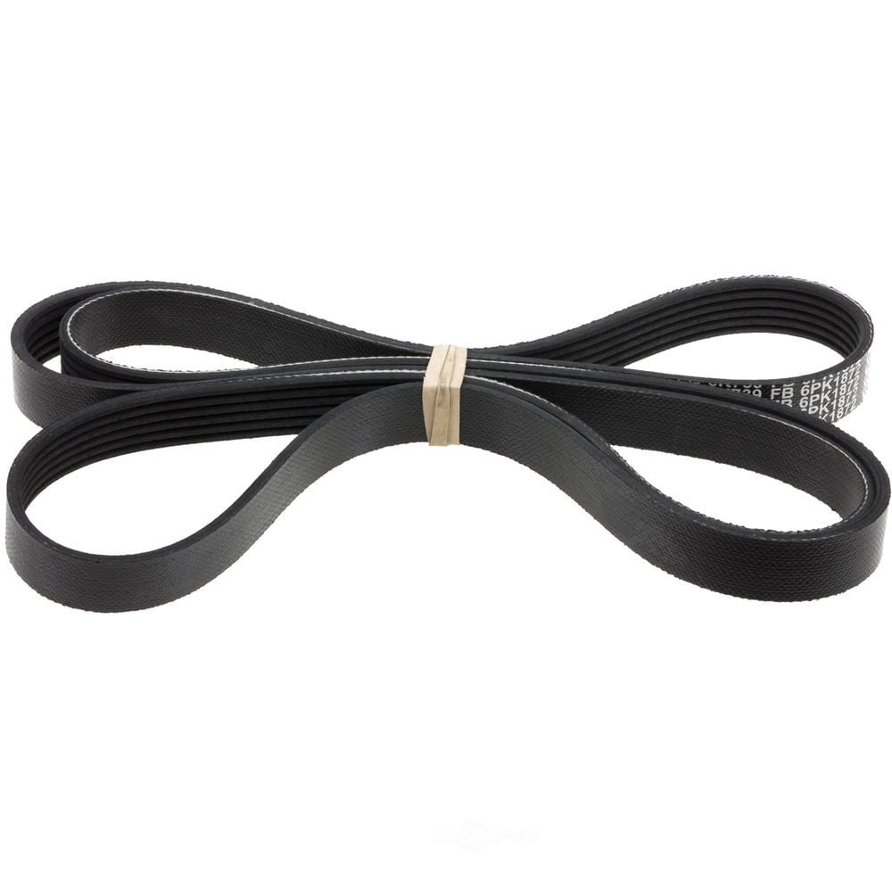INA CA - Archived FB6PK1872 Serpentine Belt