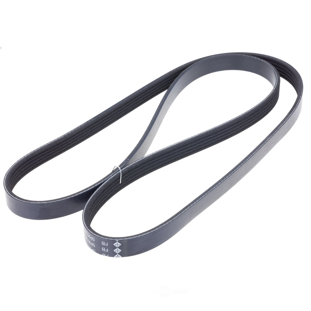 INA US FB5K565 INA BDC FEAD multi V-Belt
