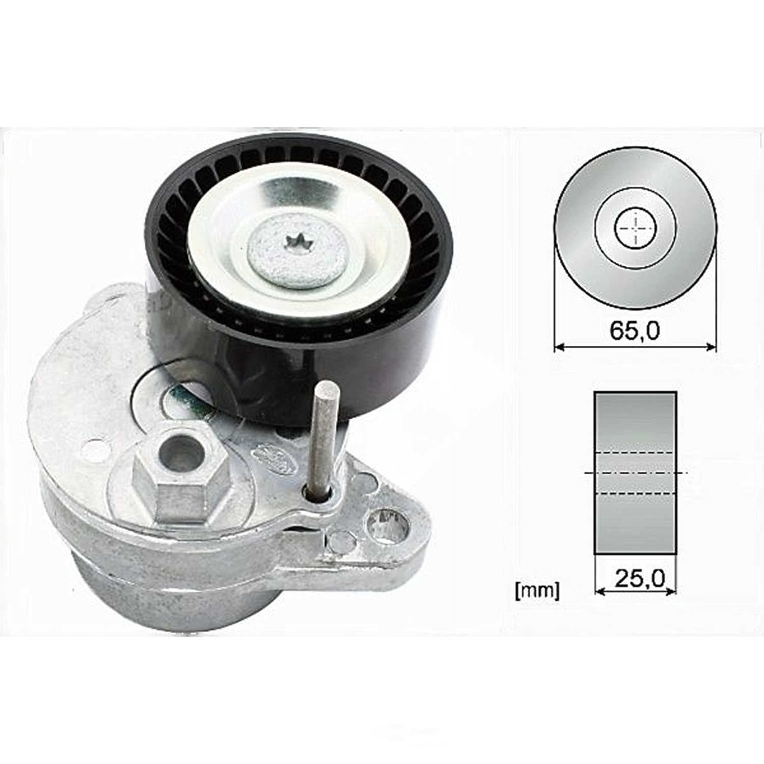 INA US FT40540 Accessory Drive Belt Tensioner Assembly