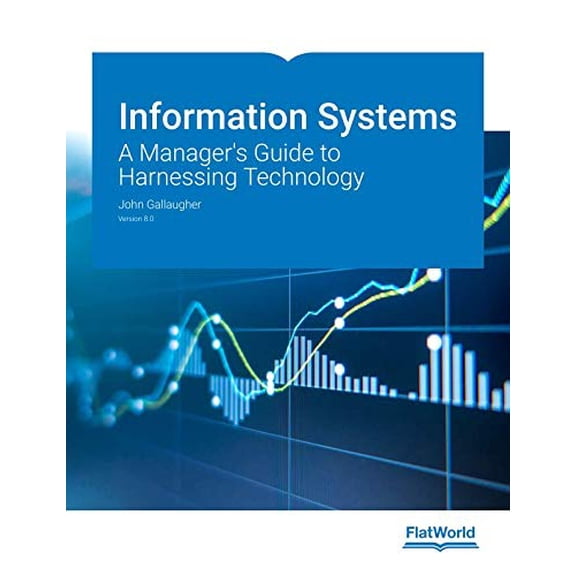 Pre-Owned INFORMATION SYSTEMS,VERSION 8.0-ACCESS 9781453397879 Used
