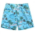 thumbnail image 1 of INGEAR Little Boys Quick Dry Beach Board Shorts Kids Swim Trunks UPF 50+ Swimsuit with Pockets, 1 of 1